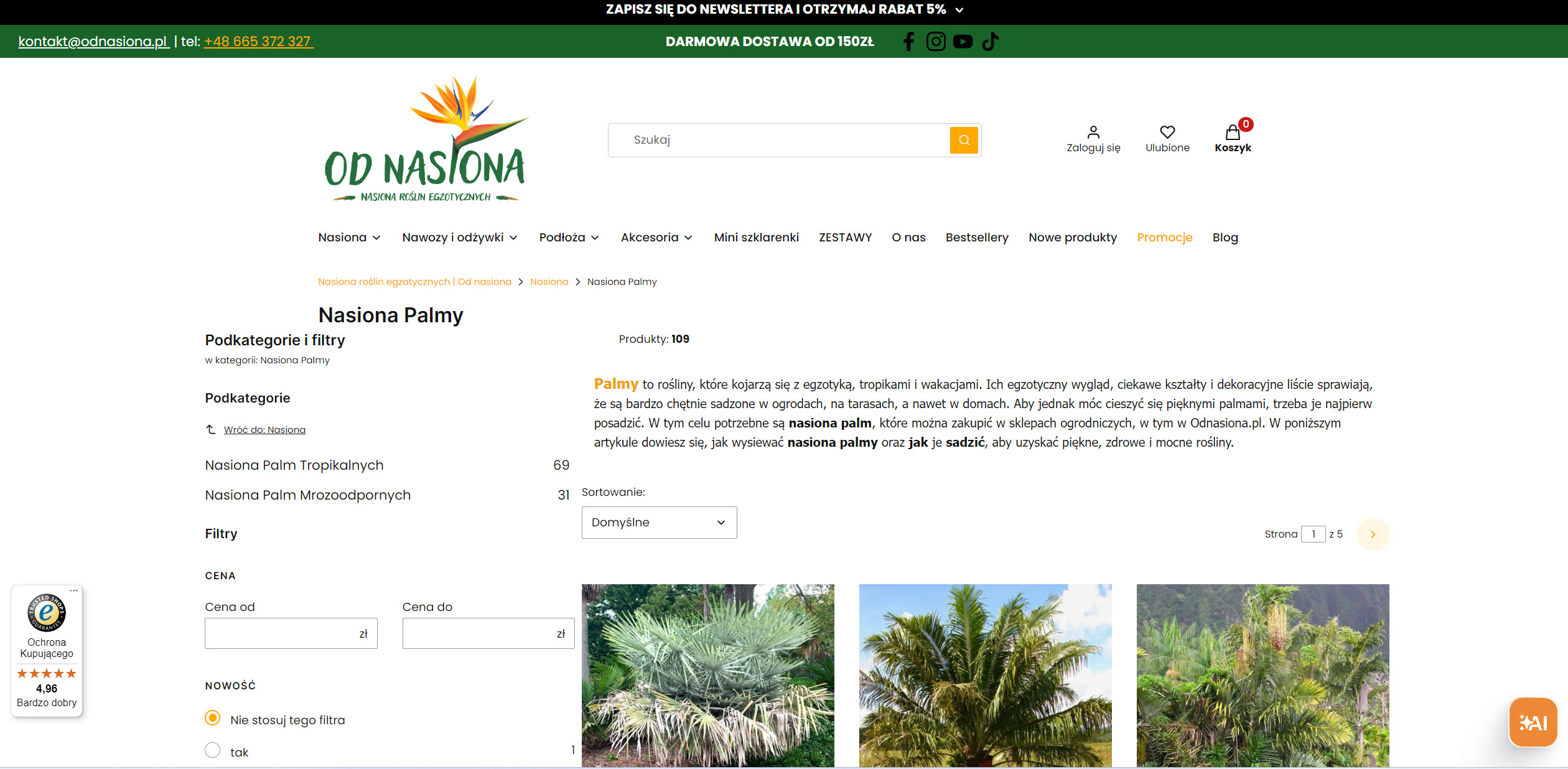 Najlepsze nasiona palm dla początkujących - ranking gatunków łatwych w uprawie