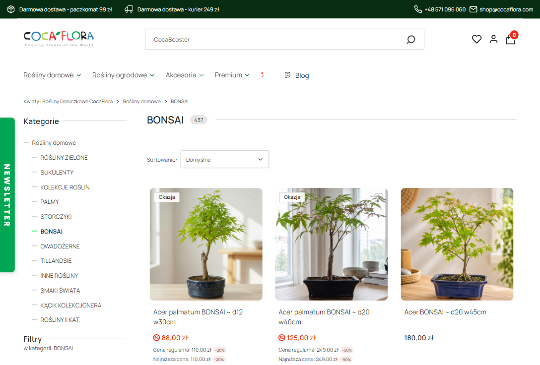 Jak zacząć uprawiać bonsai i nie popełnić błędów w pierwszych miesiącach?